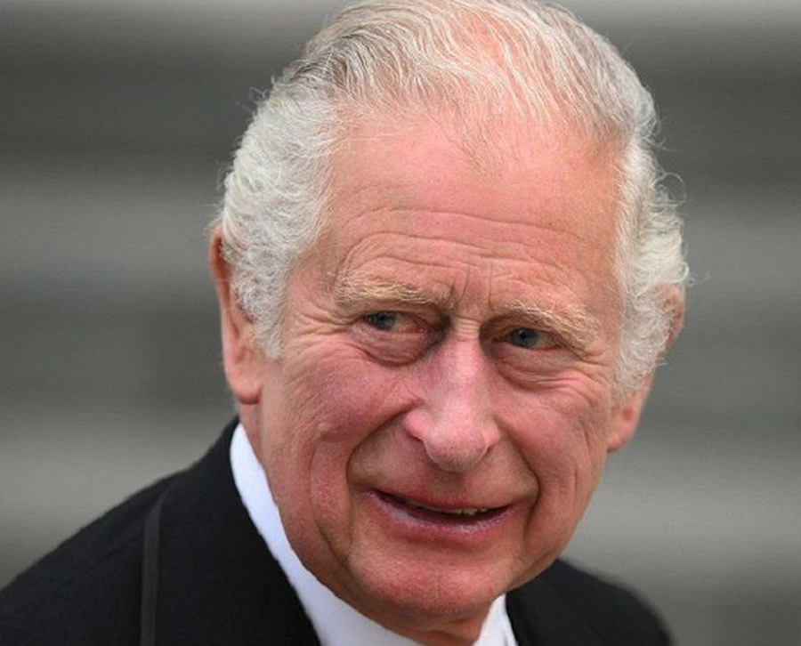 British Royal News Poll: Is Prince Charles Fit To Be King? - Soap Spoiler