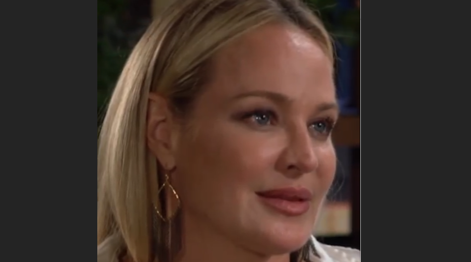 The Young And The Restless Spoilers: Is Sharon Qualified To