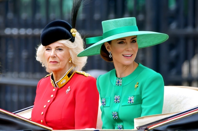 Is This Princess Kate & Queen Camilla's Message to Prince Harry & Meghan?
