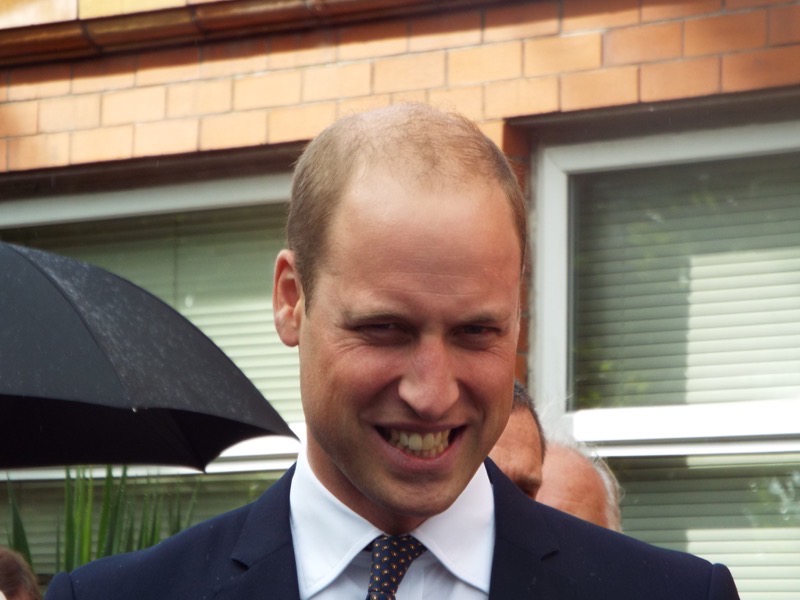 Is Prince William Making the Right Moves To Become A Global Statesman?