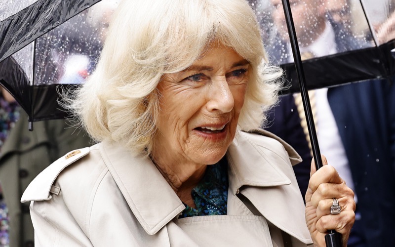 Queen Camilla Steps Back from Royal Feud After Harry's "Dangerous" Claim